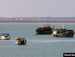 4 Nelayan Pasuruan Ditangkap karena Illegal Fishing